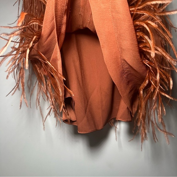 Rebecca Taylor Copper Silk Ostrich Feather Slip Dress Size 8 - Picture 11 of 17